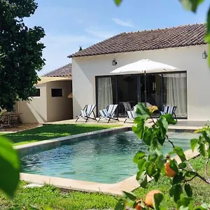 Gogh En Provence Villa Saint-Martin-de-Crau